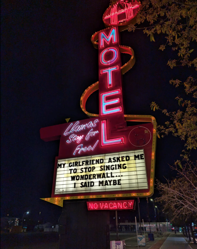 M ΣΟΥΝ Llamas Stage for Freel E MY GIRLFRIEND ASKED ME TO STOP SINGING WONDERWALL... SAID MAYBE NO VACANCY