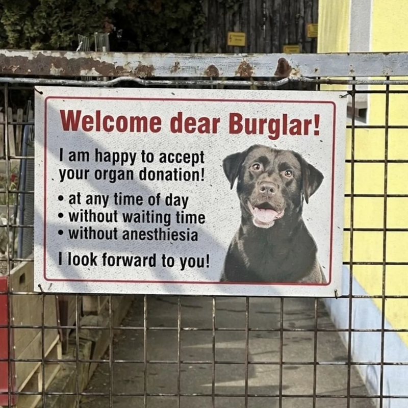 Welcome dear Burglar! I am happy to accept your organ donation! at any time of day without waiting time ⚫without anesthiesia I look forward to you!