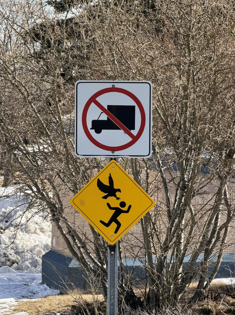 Cheezburger Image 10612737024