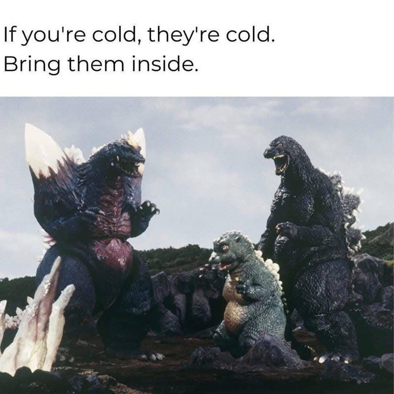If you're cold, they're cold. Bring them inside.