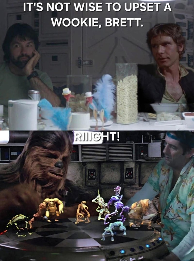 IT'S NOT WISE TO UPSET A WOOKIE, BRETT. RIIGHT!