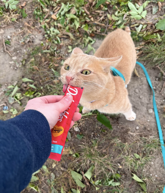 Det bles Squeez Than