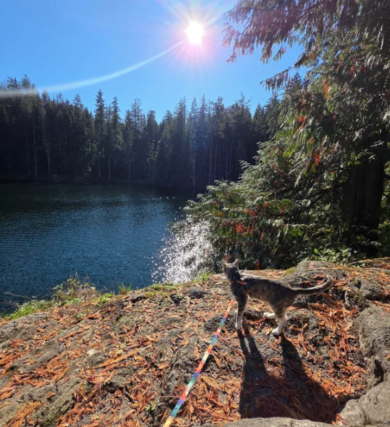 Cheezburger Image 10612780800