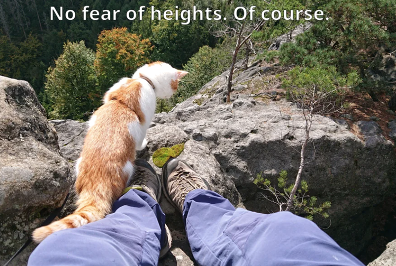 No fear of heights. Of course.