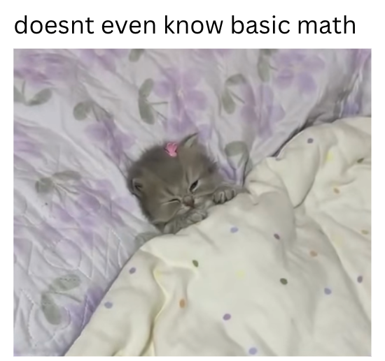 doesnt even know basic math