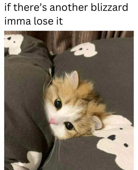 if there's another blizzard imma lose it