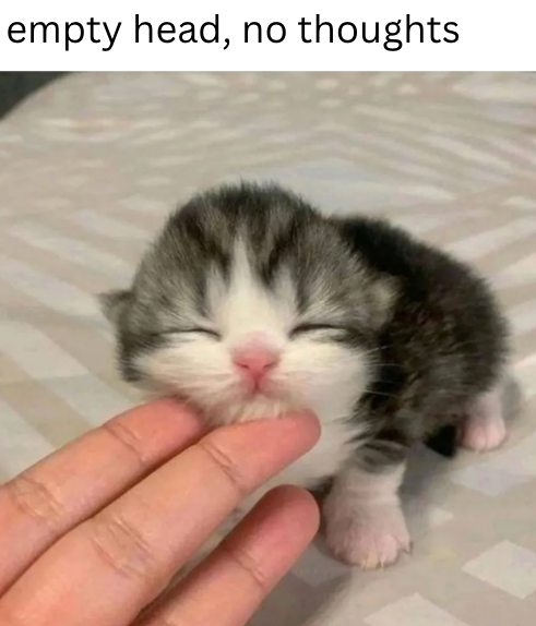 empty head, no thoughts