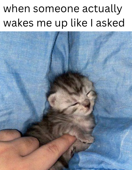 when someone actually wakes me up like I asked