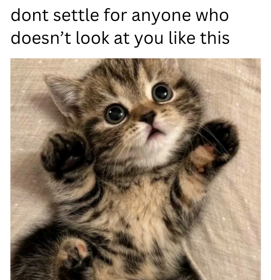 dont settle for anyone who doesn't look at you like this