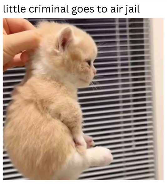 little criminal goes to air jail