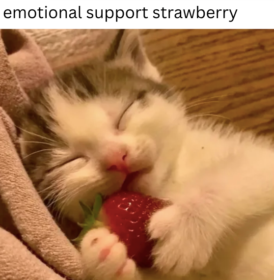 emotional support strawberry