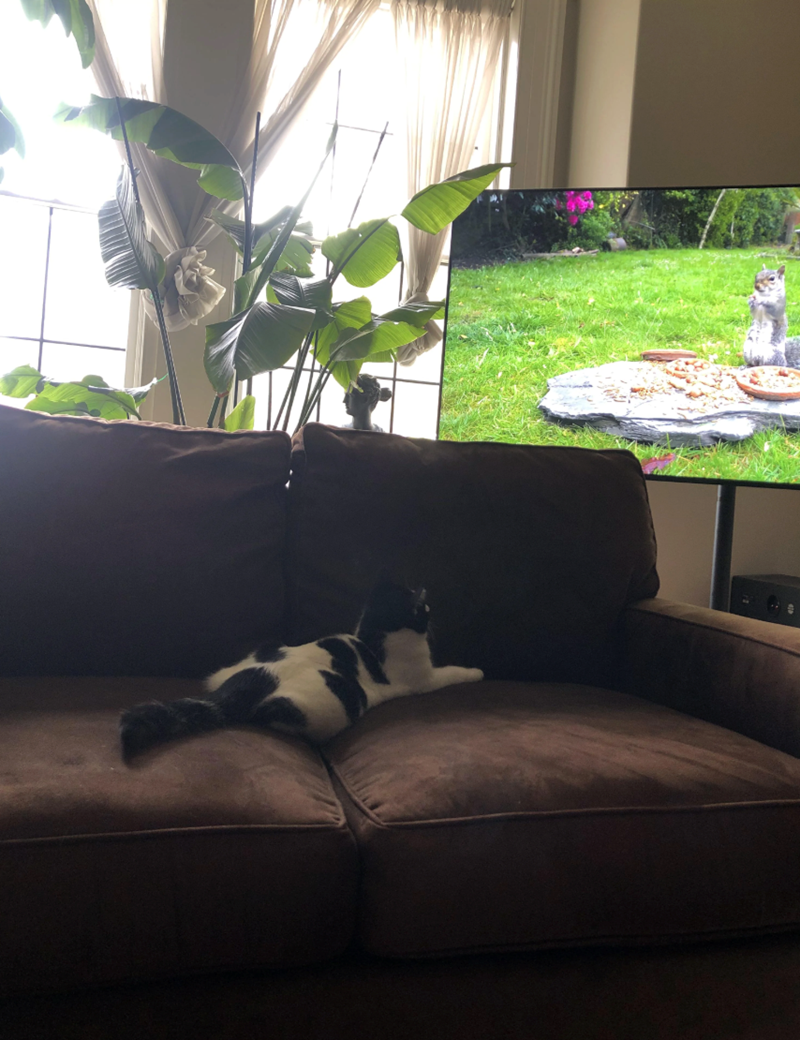 Cheezburger Image 10612793600