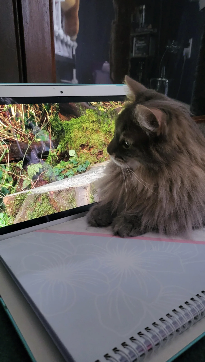 Cheezburger Image 10612795136