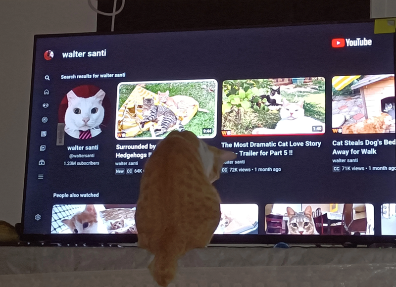 Q walter santi Search results for walter santi walter santi @waltersanti 1.23M subscribers Surrounded by Hedgehogs walter santi New CC 64K People also watched 9:44 1:40 ►YouTube The Most Dramatic Cat Love Story -Trailer for Part 5 !! alter santi CC 72K views • 1 month ago Cat Steals Dog's Bed Away for Walk walter santi CC 71K views • 1 month ago