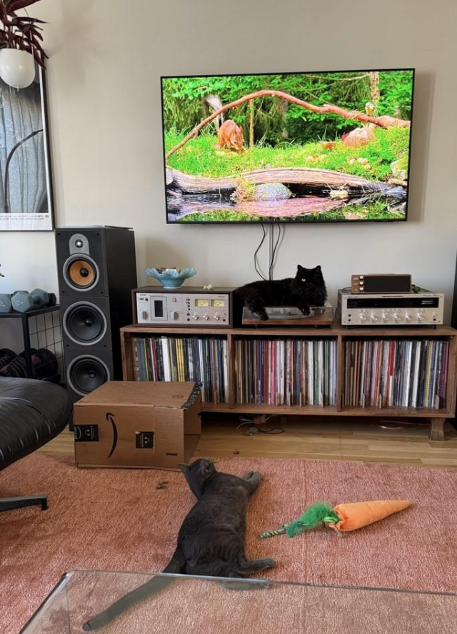 Cheezburger Image 10612796416