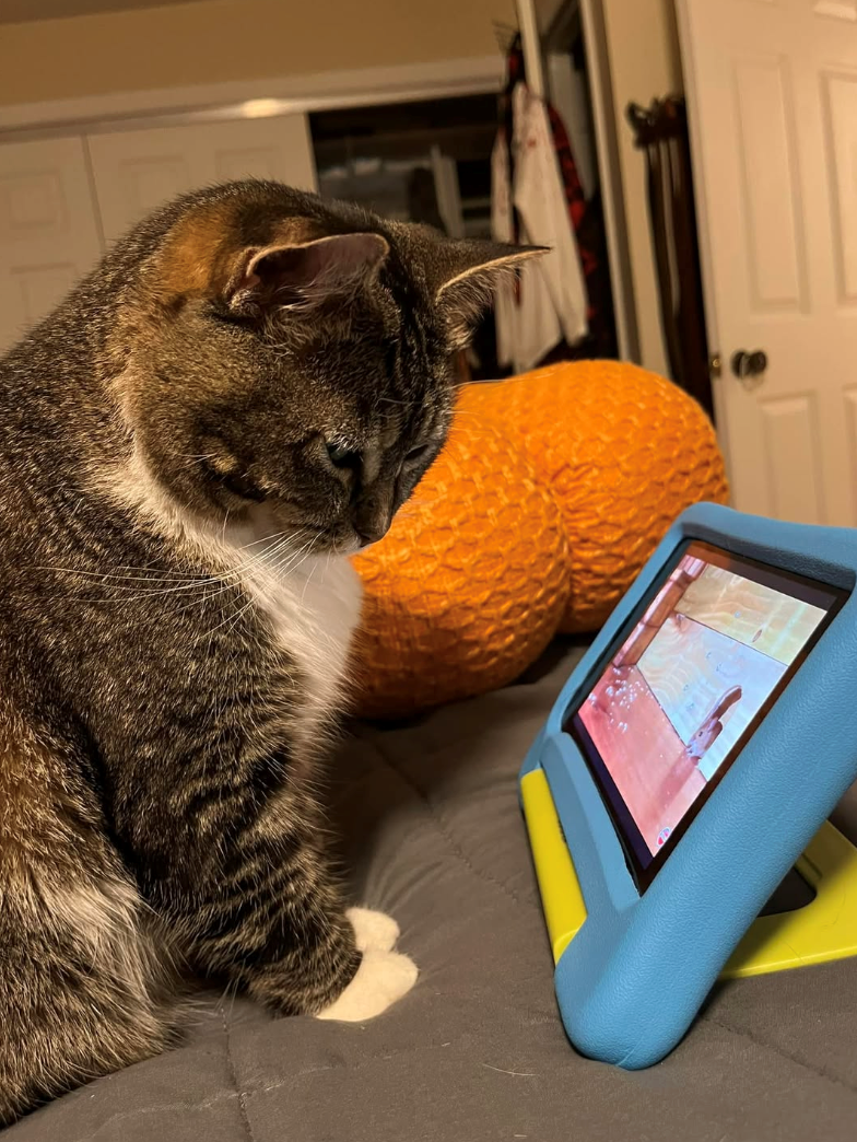 Cheezburger Image 10612796928