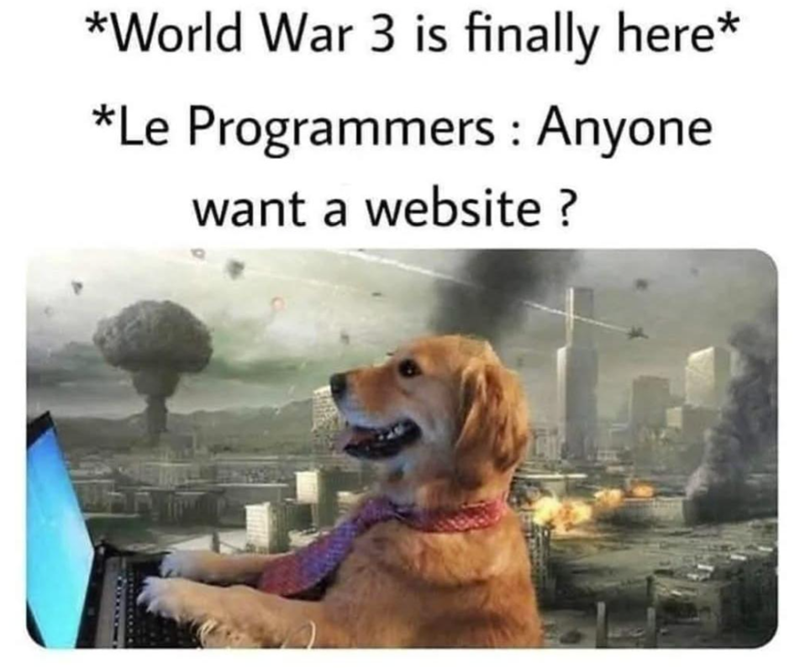 *World War 3 is finally here* *Le Programmers: Anyone want a website?