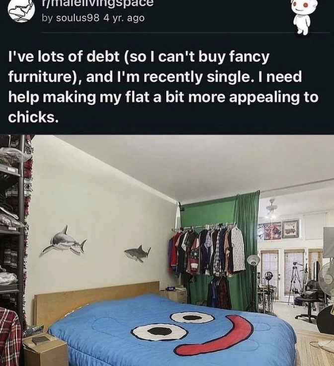 r/malelivingspace by soulus98 4 yr. ago I've lots of debt (so I can't buy fancy furniture), and I'm recently single. I need help making my flat a bit more appealing to chicks.