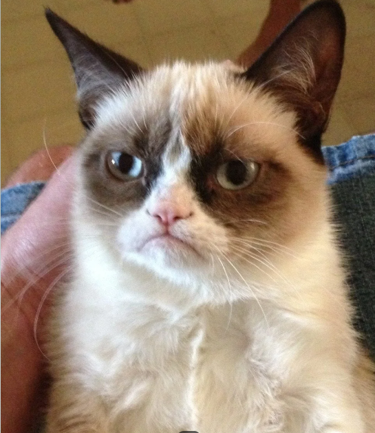 Cheezburger Image 10612815360