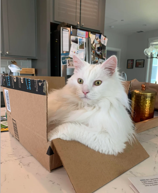 tening me D ime ΤΑ ΔΙ