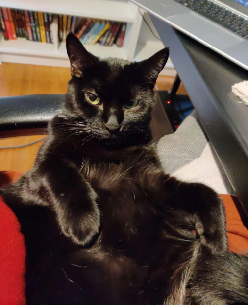 Cheezburger Image 10612819200