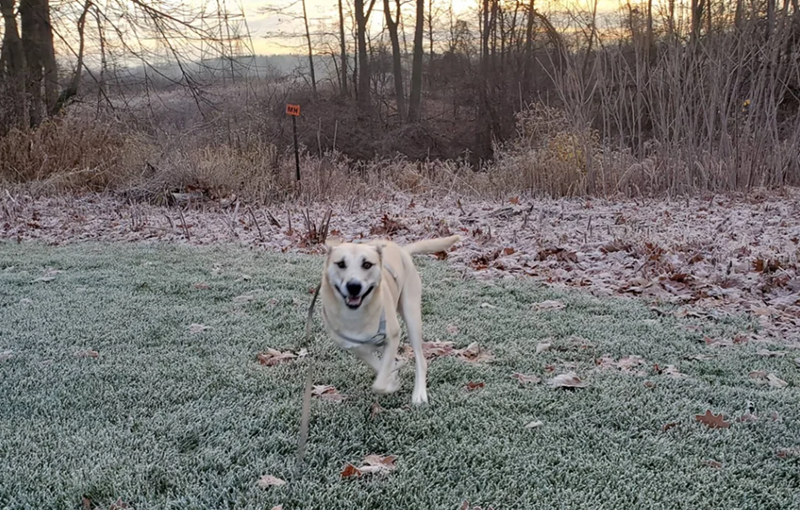 Cheezburger Image 10612824576