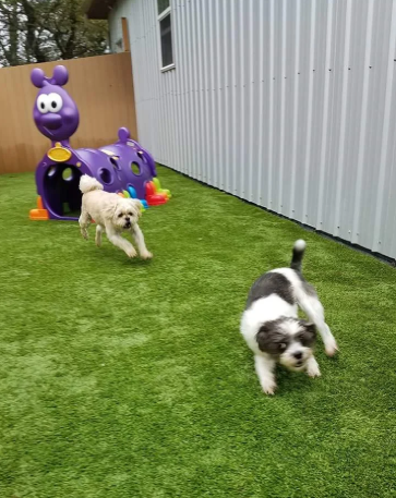 Cheezburger Image 10612825088