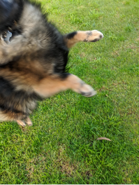 Cheezburger Image 10612826880