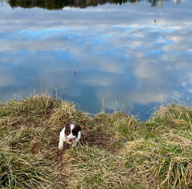 Cheezburger Image 10612828160