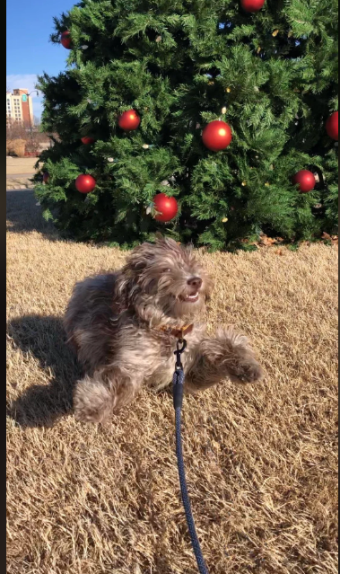 Cheezburger Image 10612828416