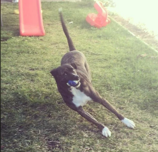 Cheezburger Image 10612831488