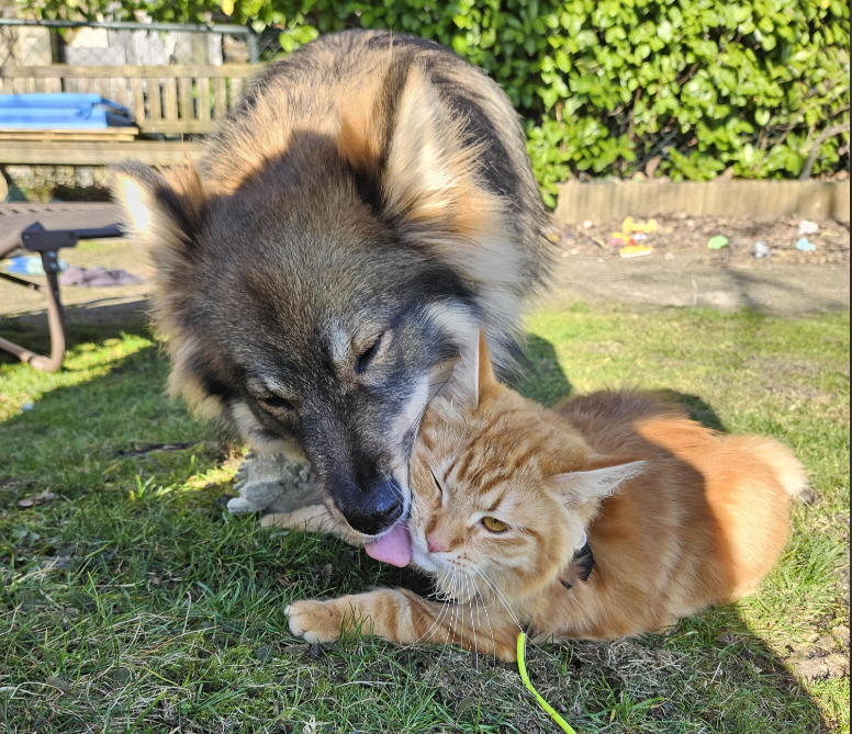 Cheezburger Image 10612841984