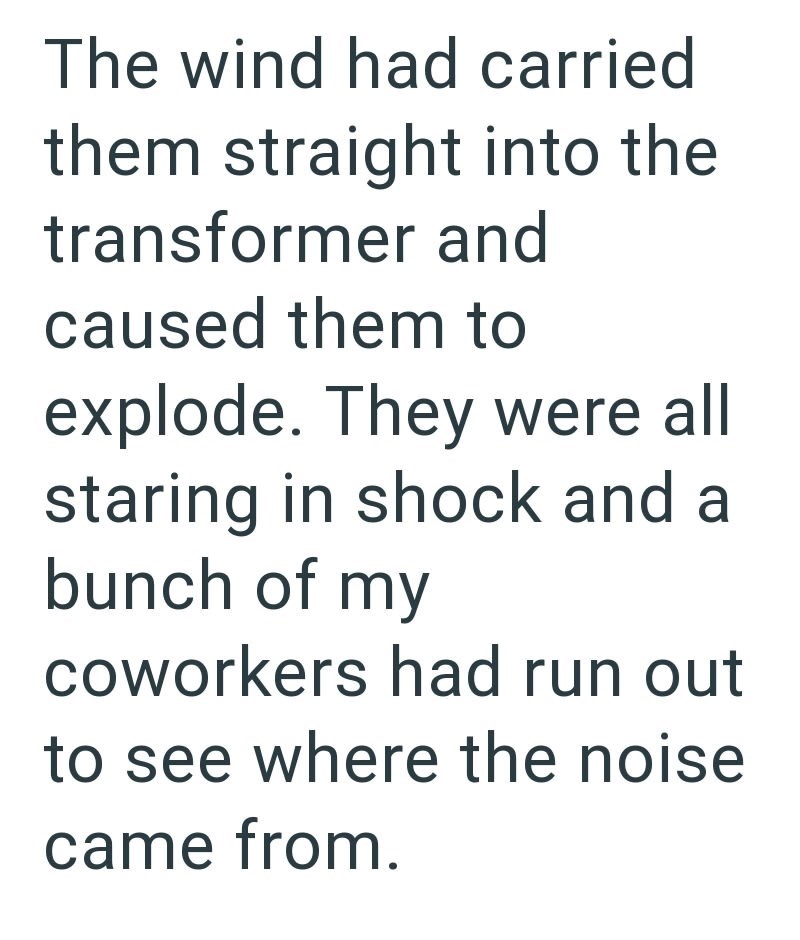 The wind had carried them straight into the transformer and caused them to explode. They were all staring in shock and a bunch of my coworkers had run out to see where the noise came from.
