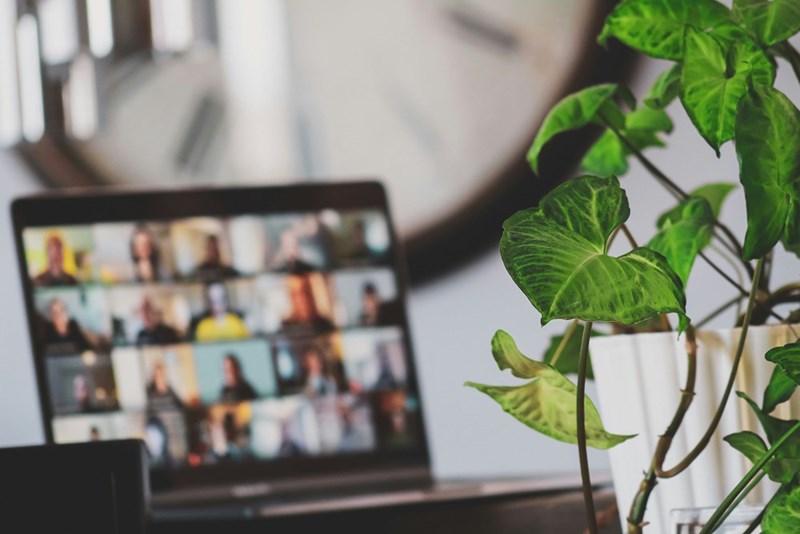 In the background, a laptop sits open to a remote Zoom meeting. Plant in the foreground