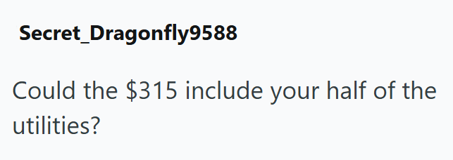 Secret_Dragonfly9588 Could the $315 include your half of the utilities?