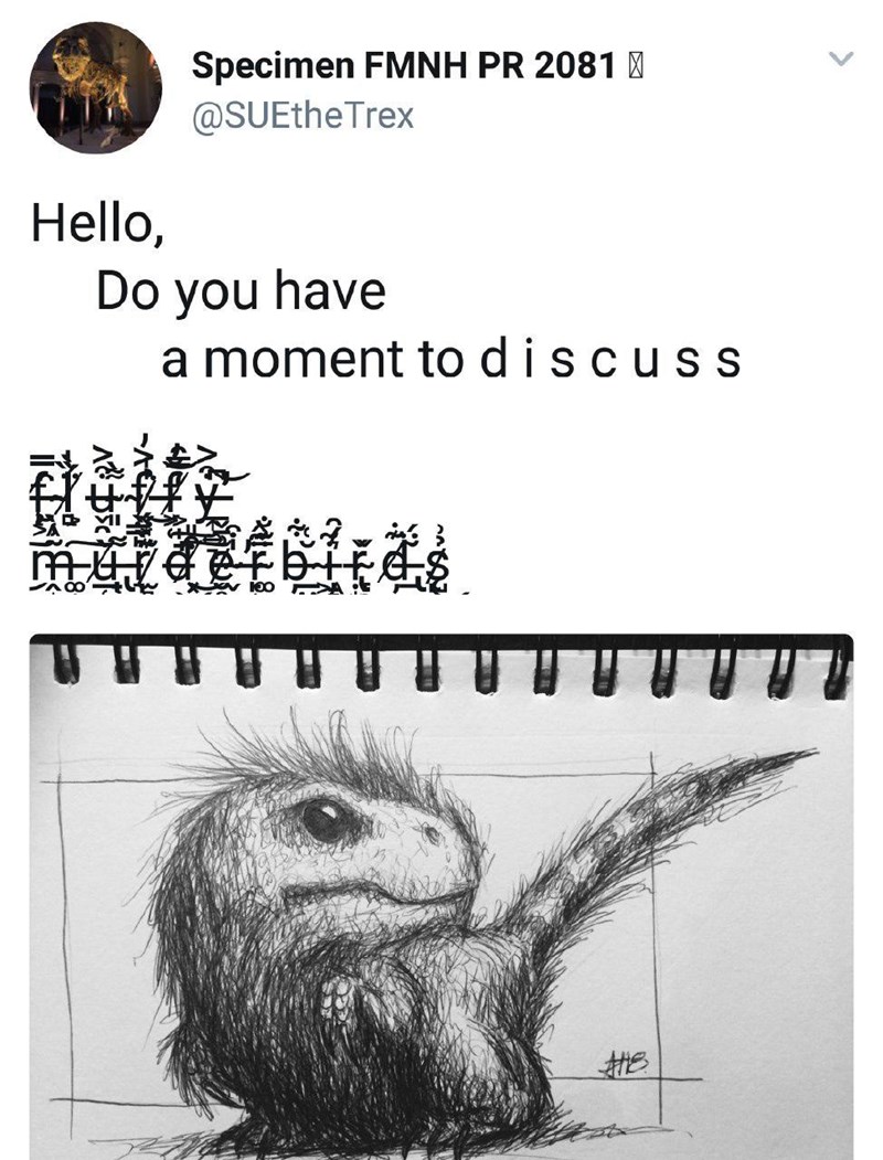 Hello, Specimen FMNH PR 2081 @SUEtheTrex Do you have a moment to discuss muiderbirds