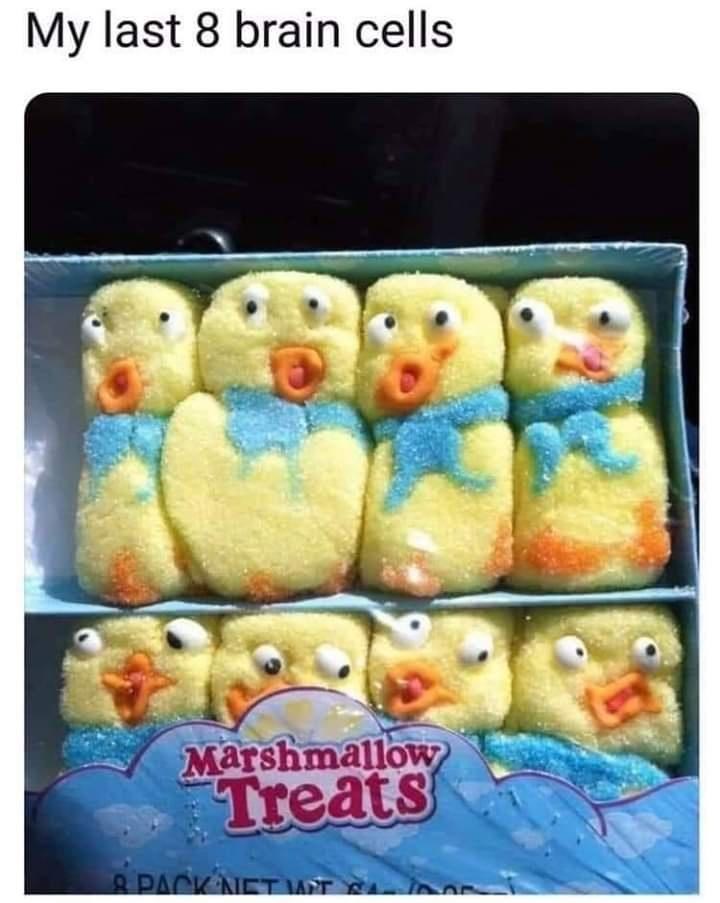 My last 8 brain cells Marshmallow Treats & PACK NET WT