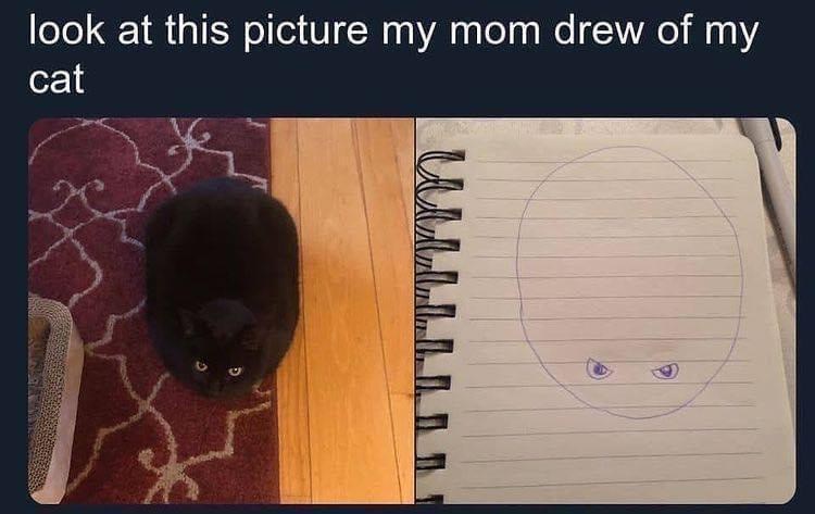 look at this picture my mom drew of my cat W L L L L L L L