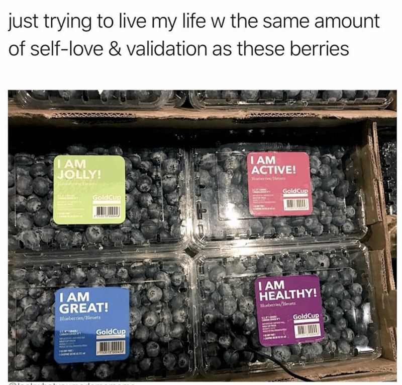 just trying to live my life w the same amount of self-love & validation as these berries I AM JOLLY! GoldCup 753513000458 I AM GREAT! Blueberries/Bleuets USAFT GRADE! CANADA GRADE P GoldCup FIS DRY PAY LOOPNE SOE 7733513-000458 I AM ACTIVE! Blueberries/Biroets GoldCup I AM HEALTHY! Blueberries/Bleuets GoldCup