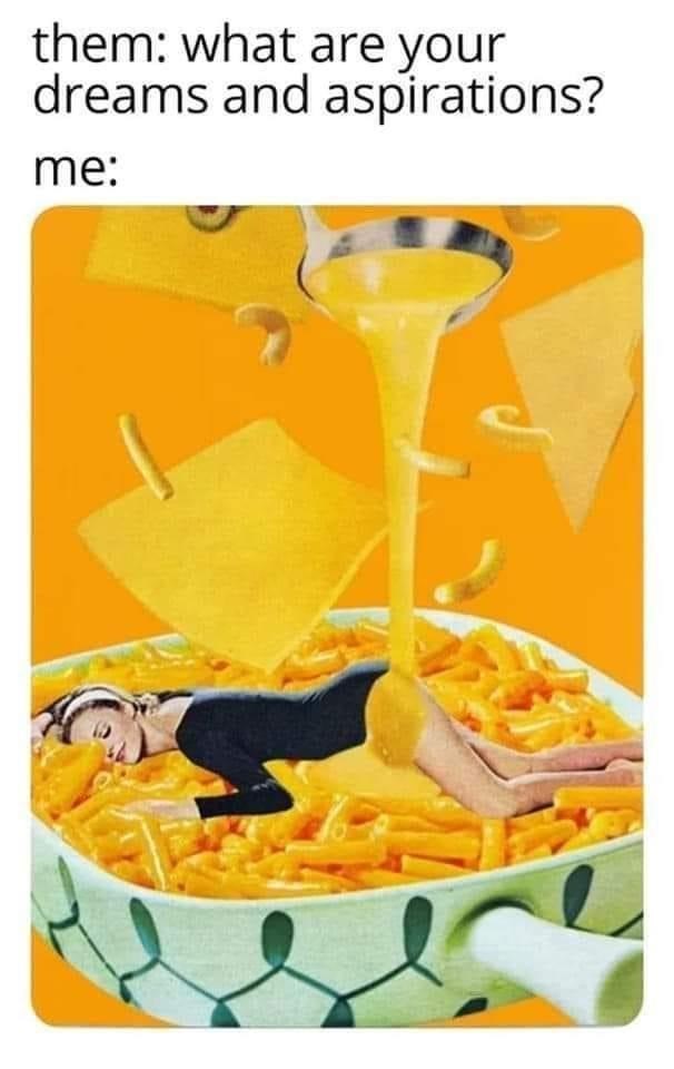 them: what are your dreams and aspirations? me: