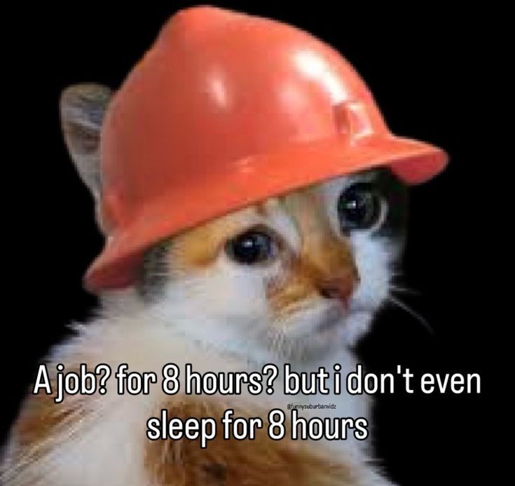 A job? for 8 hours? but i don't even Sunnysuburbanvidz sleep for 8 hours