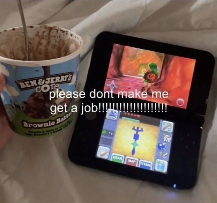 BEN&JERRY'S Core please dont make me get a job!!!!!!!!!! Brownie Batte GEAR MAP ITEMB