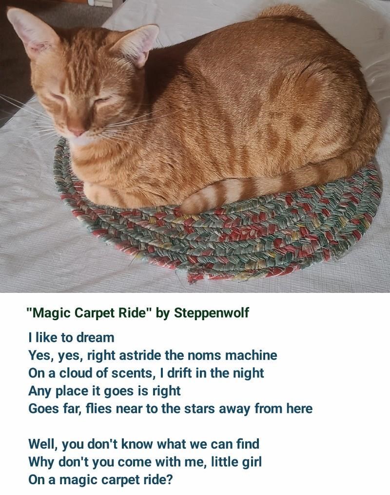 Cheezburger Image 10612908032