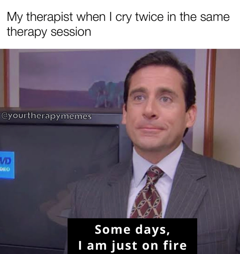 My therapist when I cry twice in the same therapy session @yourtherapymemes VD DRO Some days, I am just on fire