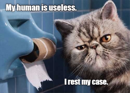 Cheezburger Image 10612909824