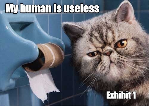 Cheezburger Image 10612910080