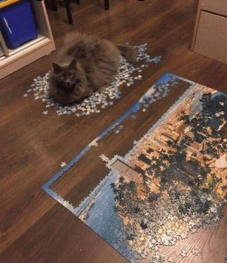 Cheezburger Image 10612914176