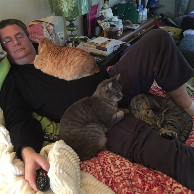 Cheezburger Image 10612914944