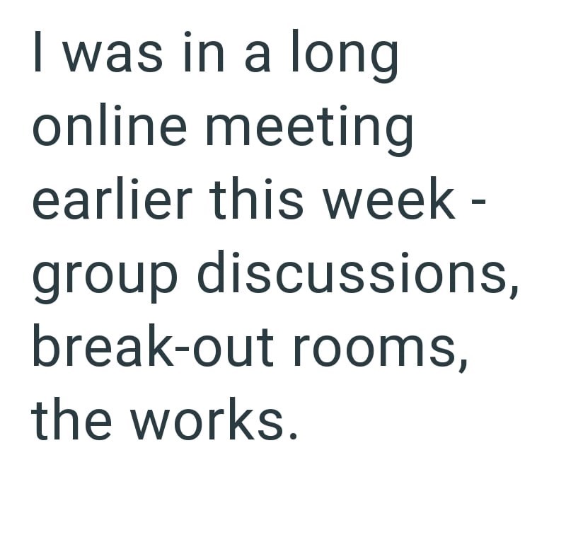I was in a long online meeting earlier this week - group discussions, break-out rooms, the works.