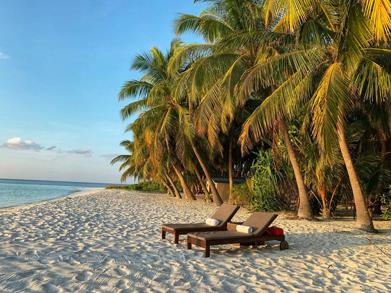 Empty vacation spot with 2 lounge chairs placed on white sandy beach with palm trees and blue waters.
